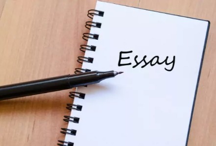 Optional Essay (Use Only If Necessary)